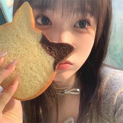 完美拍档2017